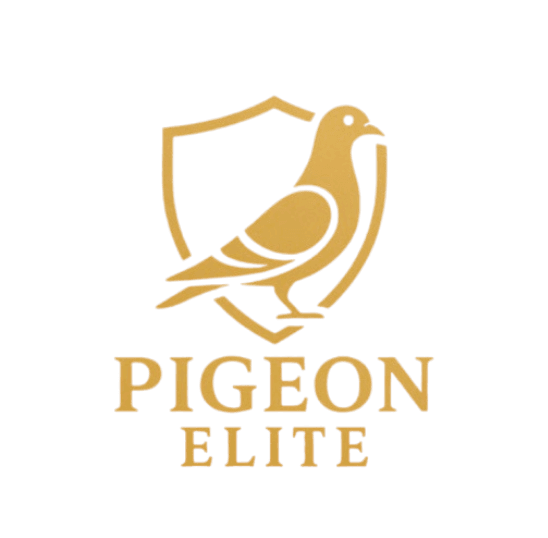Pigeon Elite
